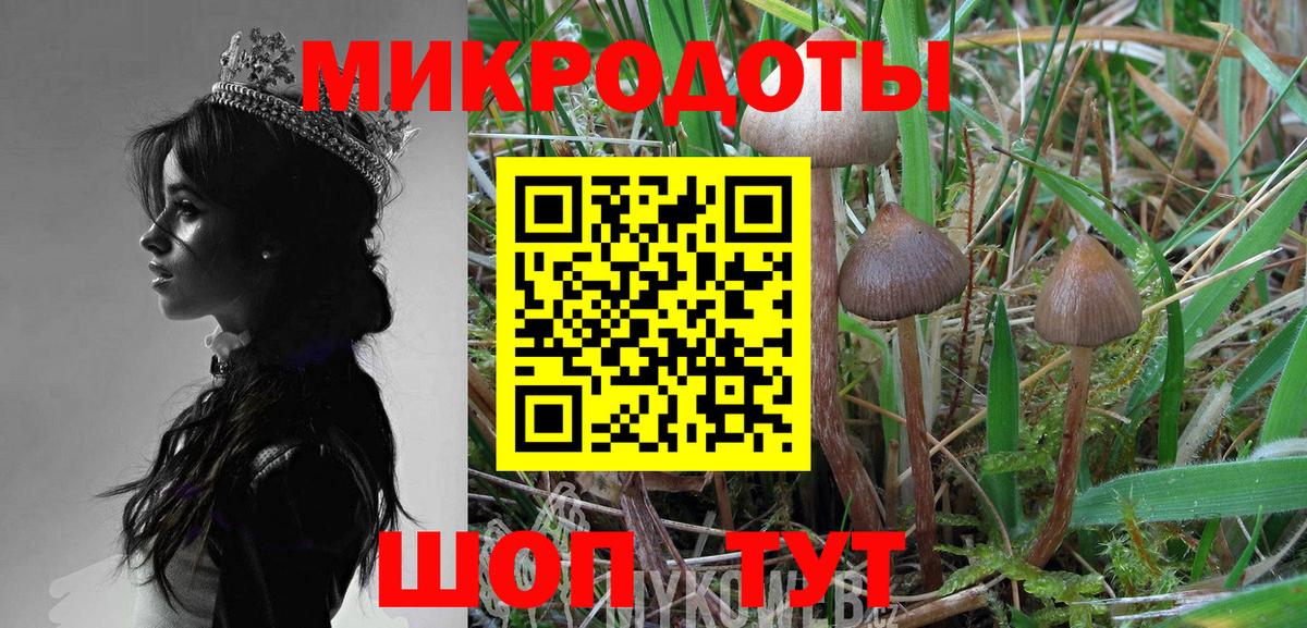 Галлюциногенные грибы Magic Shrooms Шатура