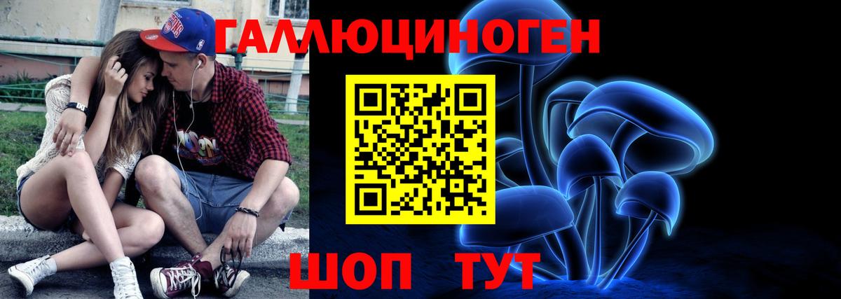 Псилоцибиновые грибы MAGIC MUSHROOMS  Вход с VPN  Шатура 